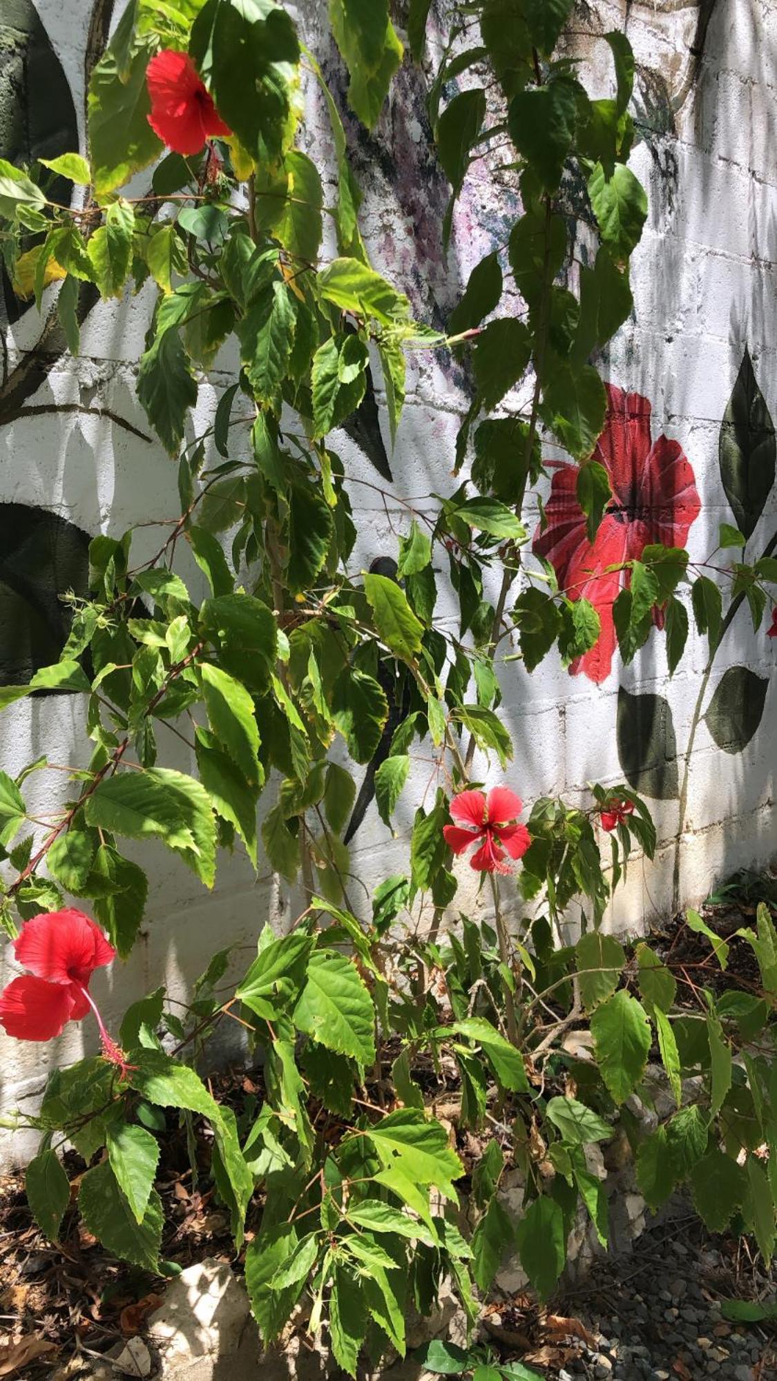San Andrés Casona La Carolinaヴィラ エクステリア 写真