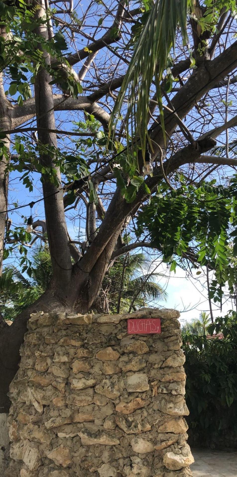 San Andrés Casona La Carolinaヴィラ エクステリア 写真