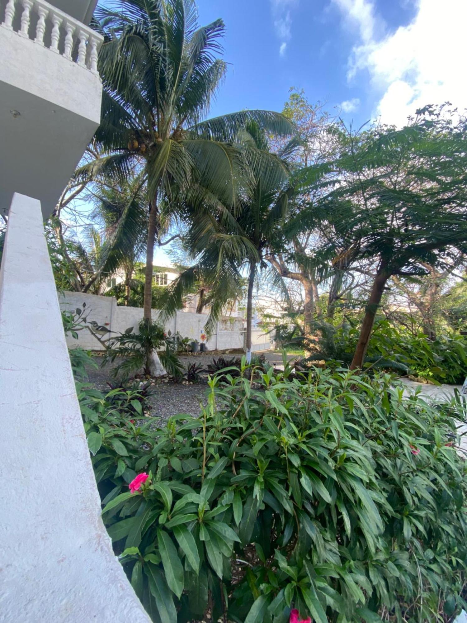 San Andrés Casona La Carolinaヴィラ エクステリア 写真